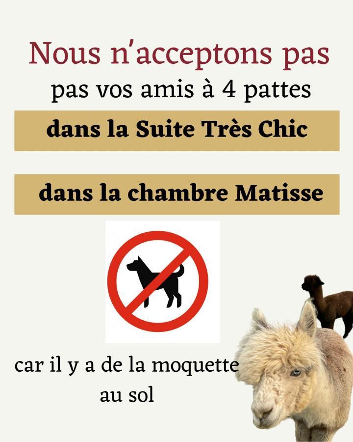 The Alpaca B&B Chalais  エクステリア 写真